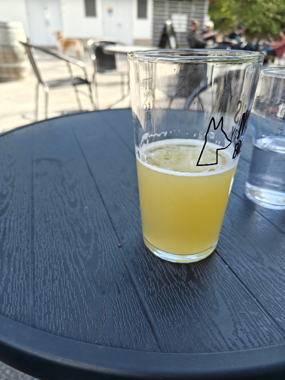 Masis Tryout XI: Hopfenweisse, Finland