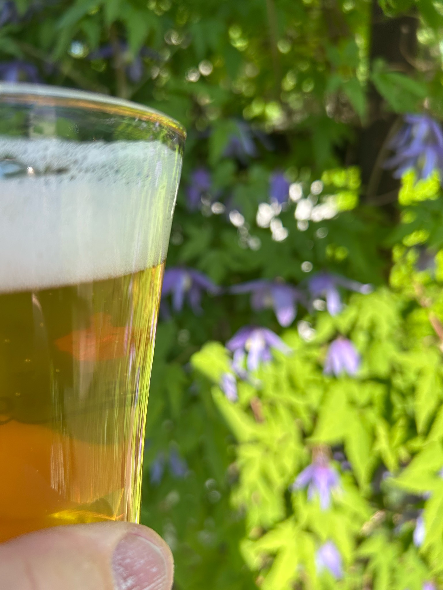 Stone Cold Lager, Finland