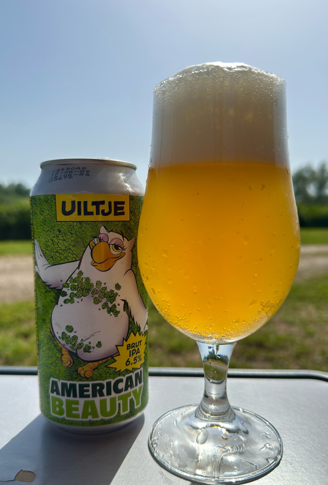 American Beauty, Netherlands