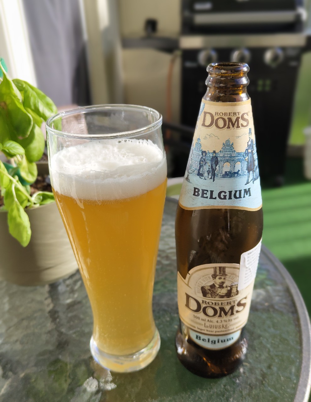 Robert Doms Belgiiskiy / Бельгійський, Ukraine