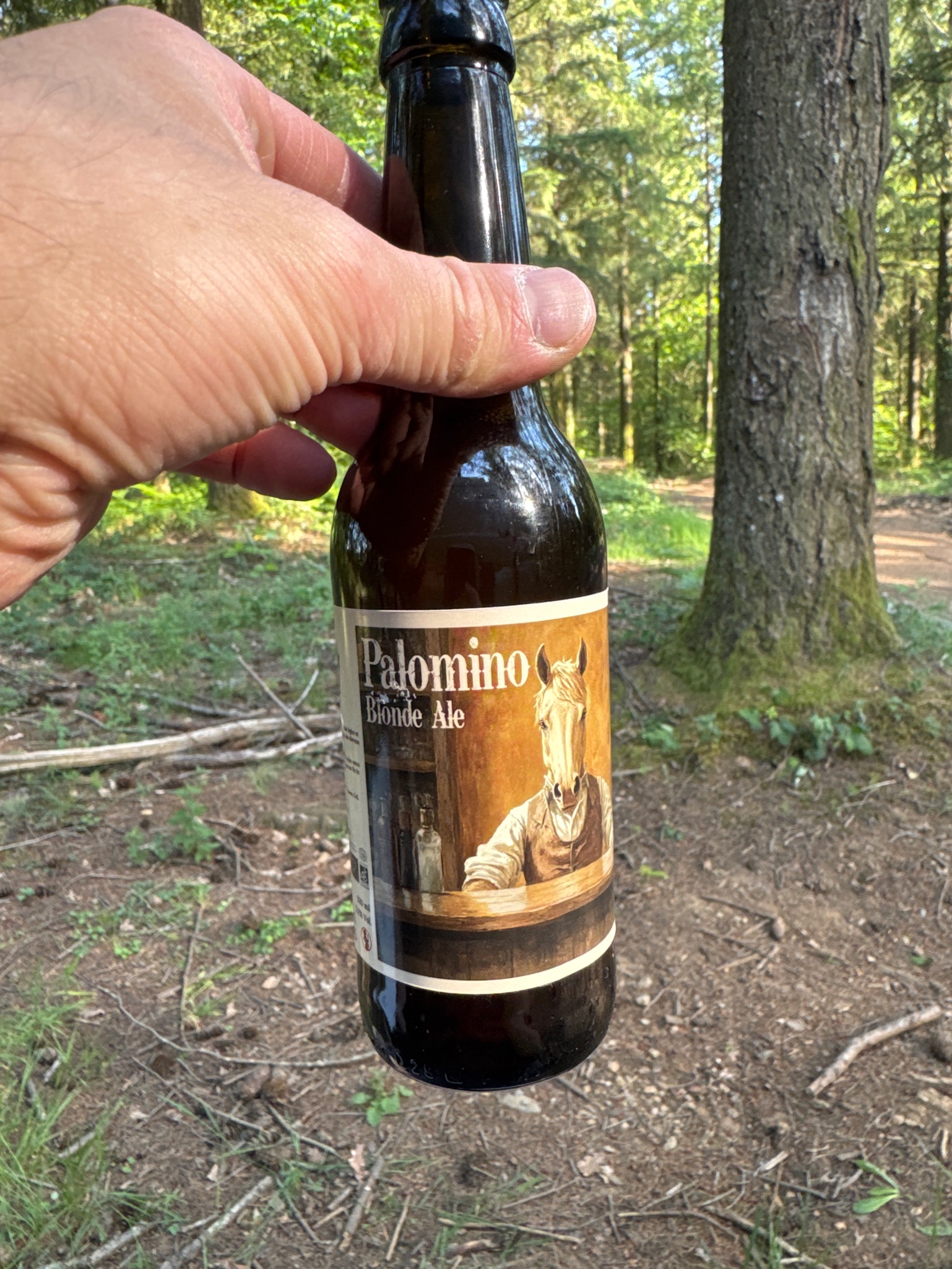 Palomino, Brugnas Farm