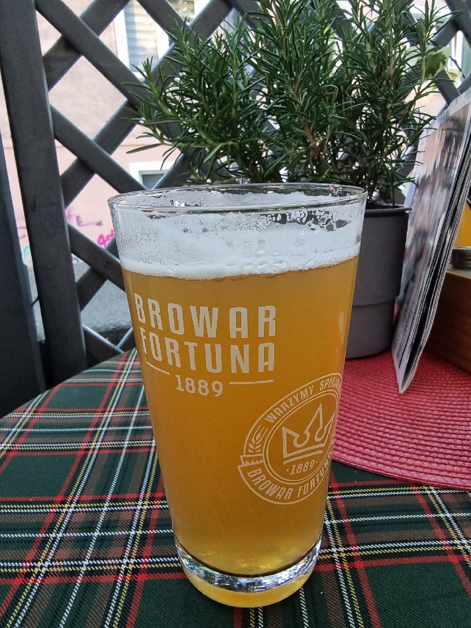 Grodziska White IPA, Browar Grodzisk