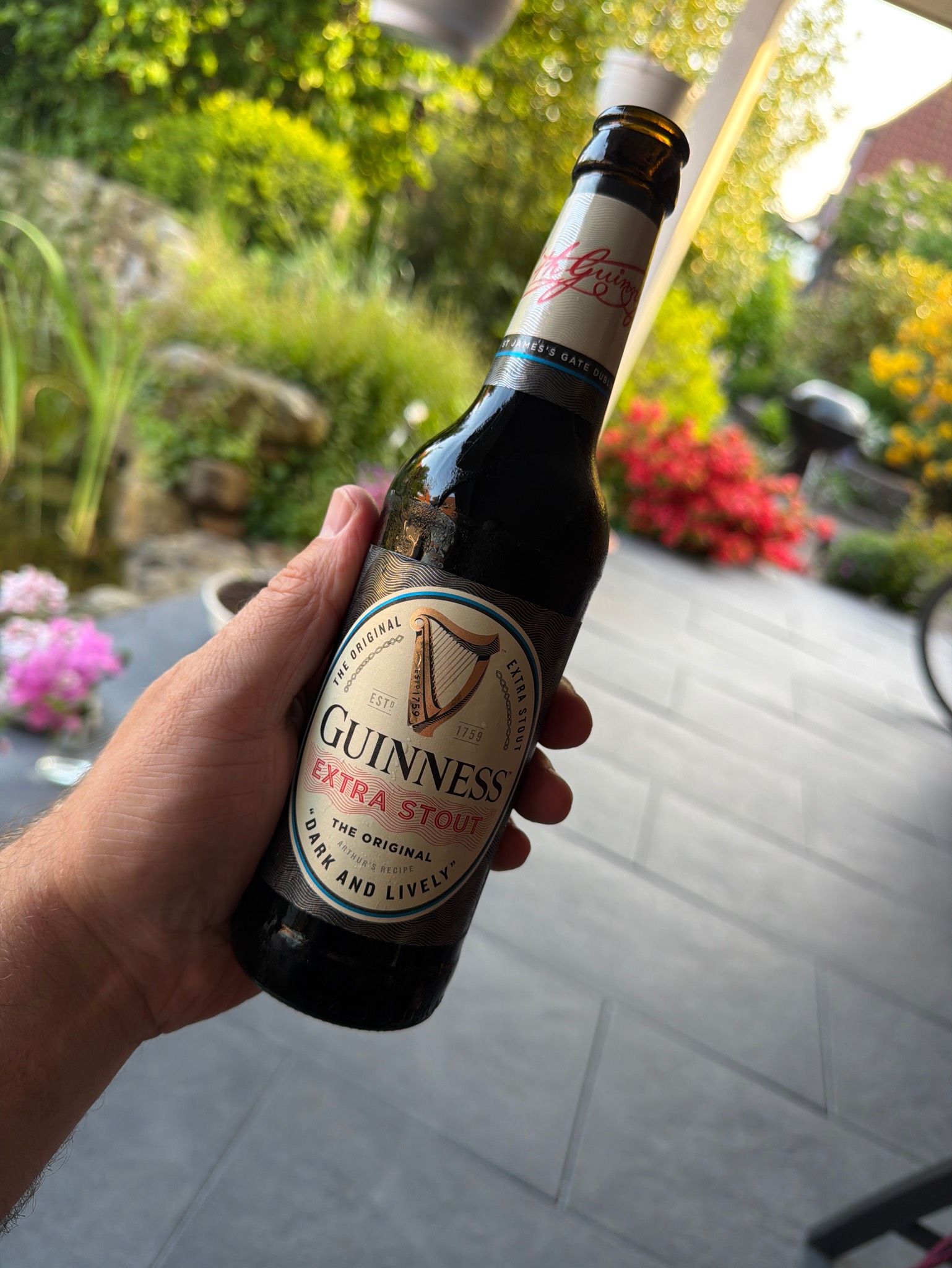 Guinness Original Extra Stout, Ireland