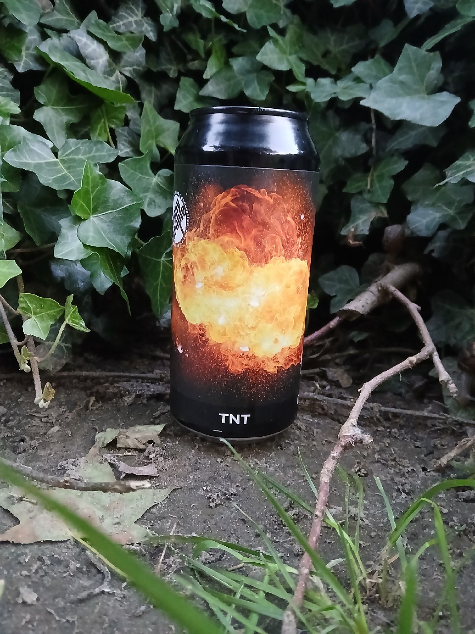 TNT, Switzerland