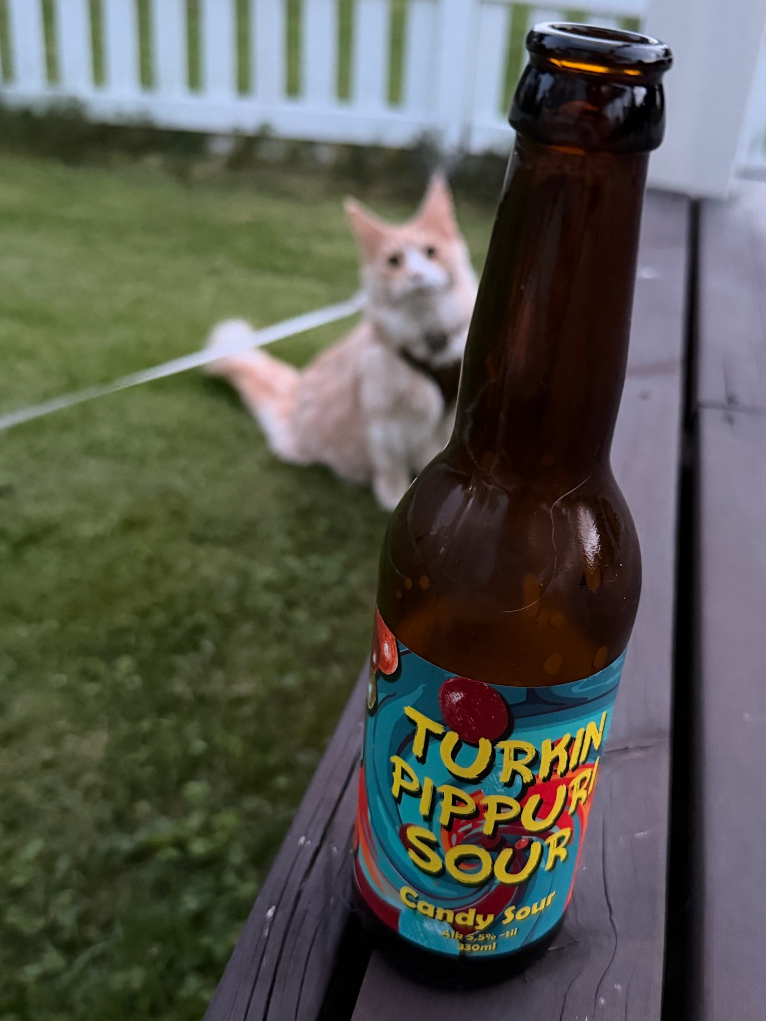 Candy Beer Saga Vol. 2, Finland