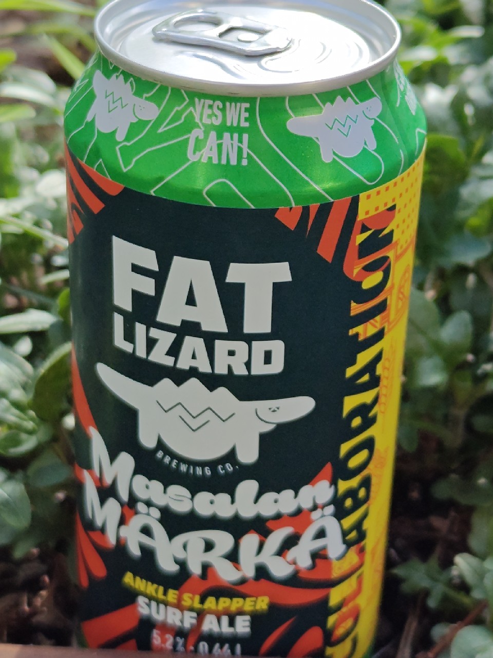 Masalan märkä, Finland