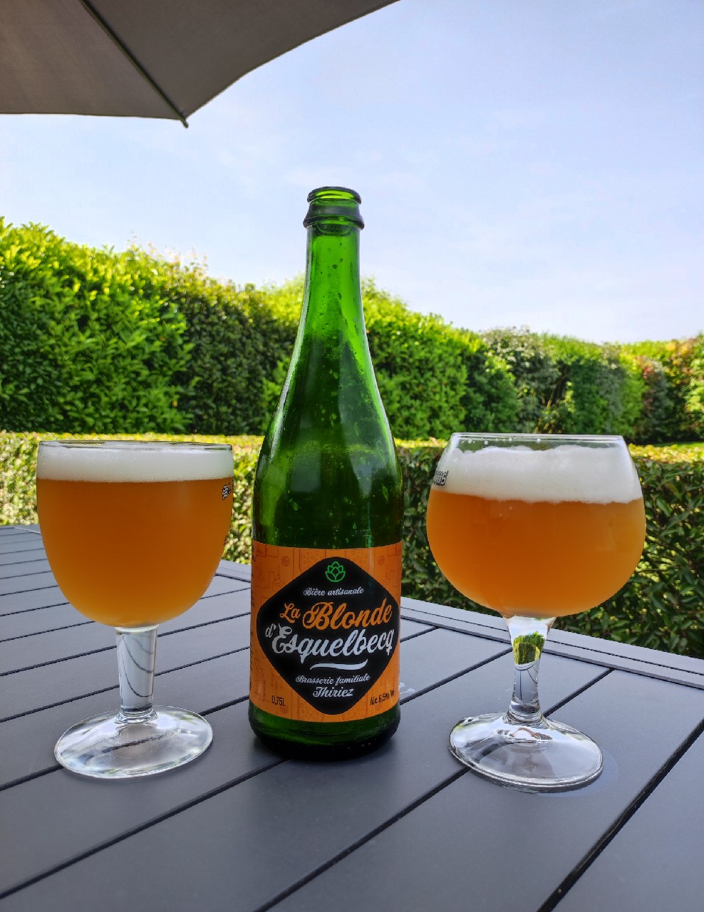 La Blonde D'Esquelbecq, France