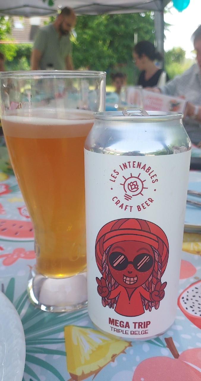 Mega Trip, Les Intenables - Craft Beer