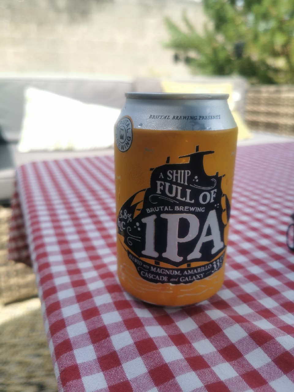 A Ship Full of IPA 5.8%, Brutal Brewing (Spendrups Bryggeri)