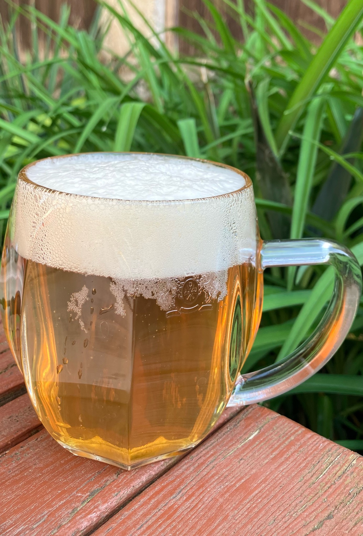 Kvasnicové Pivo 10°, Bernard Family Brewery / Rodinný Pivovar Bernard