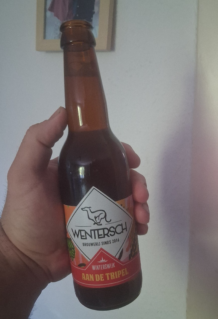 Aan de Tripel, Wentersch