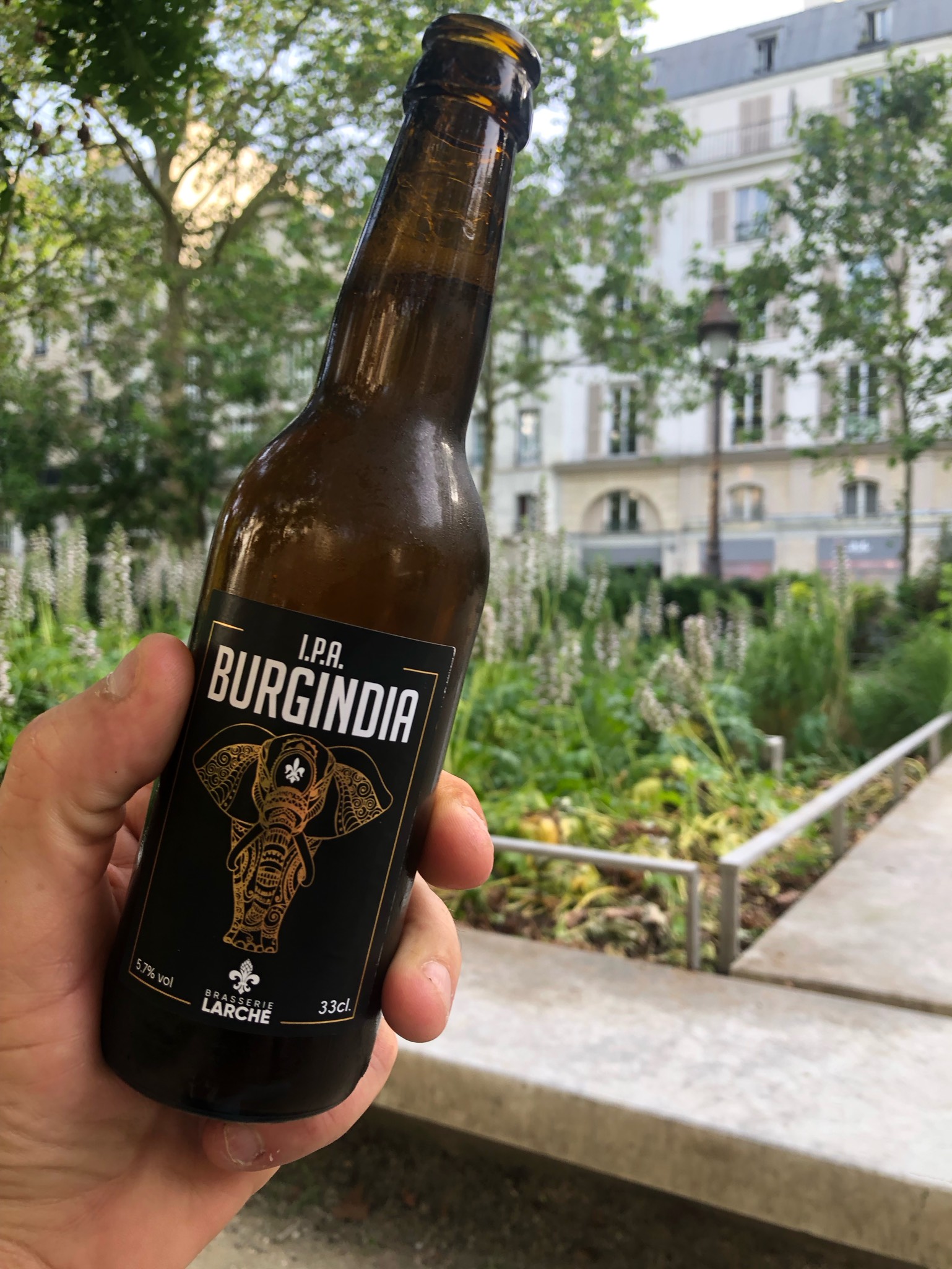Burgindia IPA, France