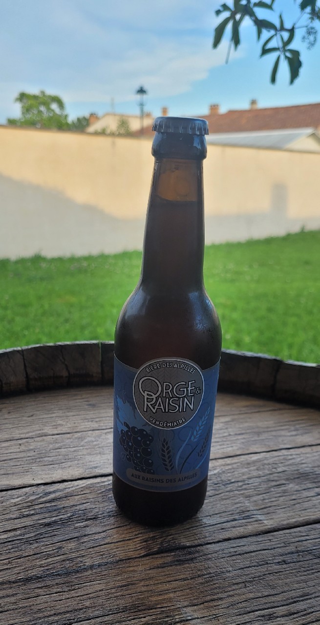 orge et raisin, Brasserie Des Alpilles