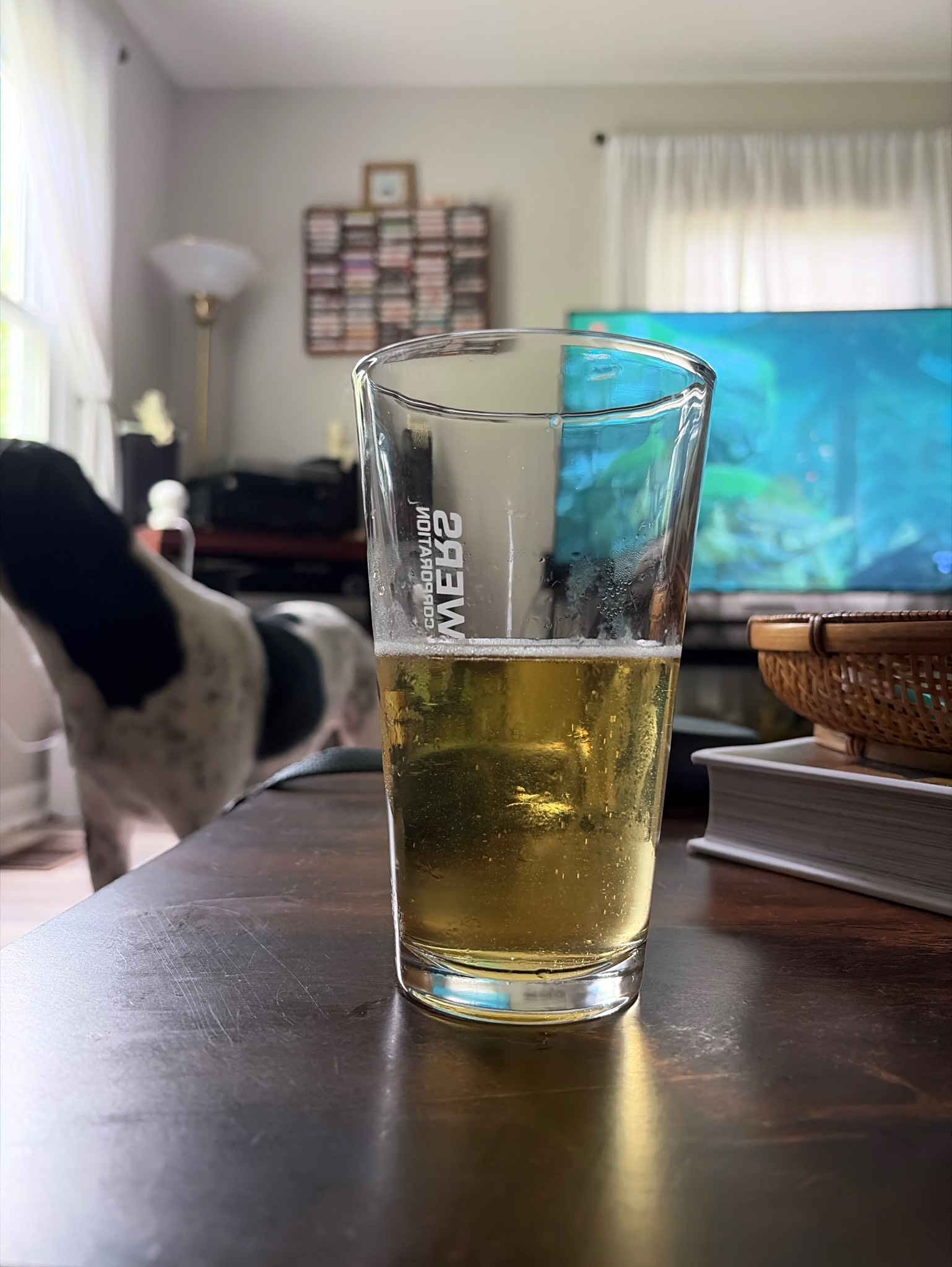 skydog lager, Wiseacre Brewing
