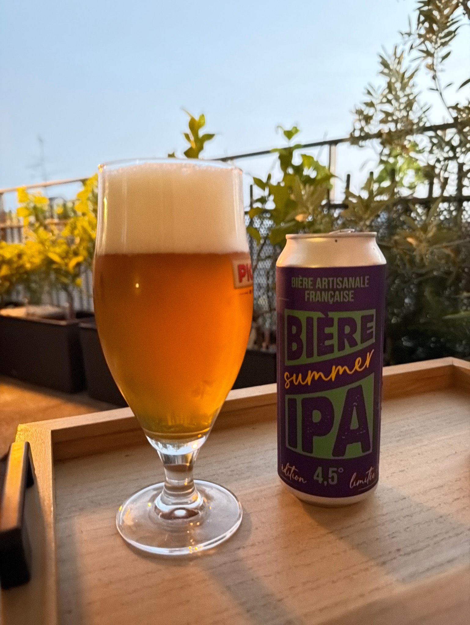 Biere summer IPA, France