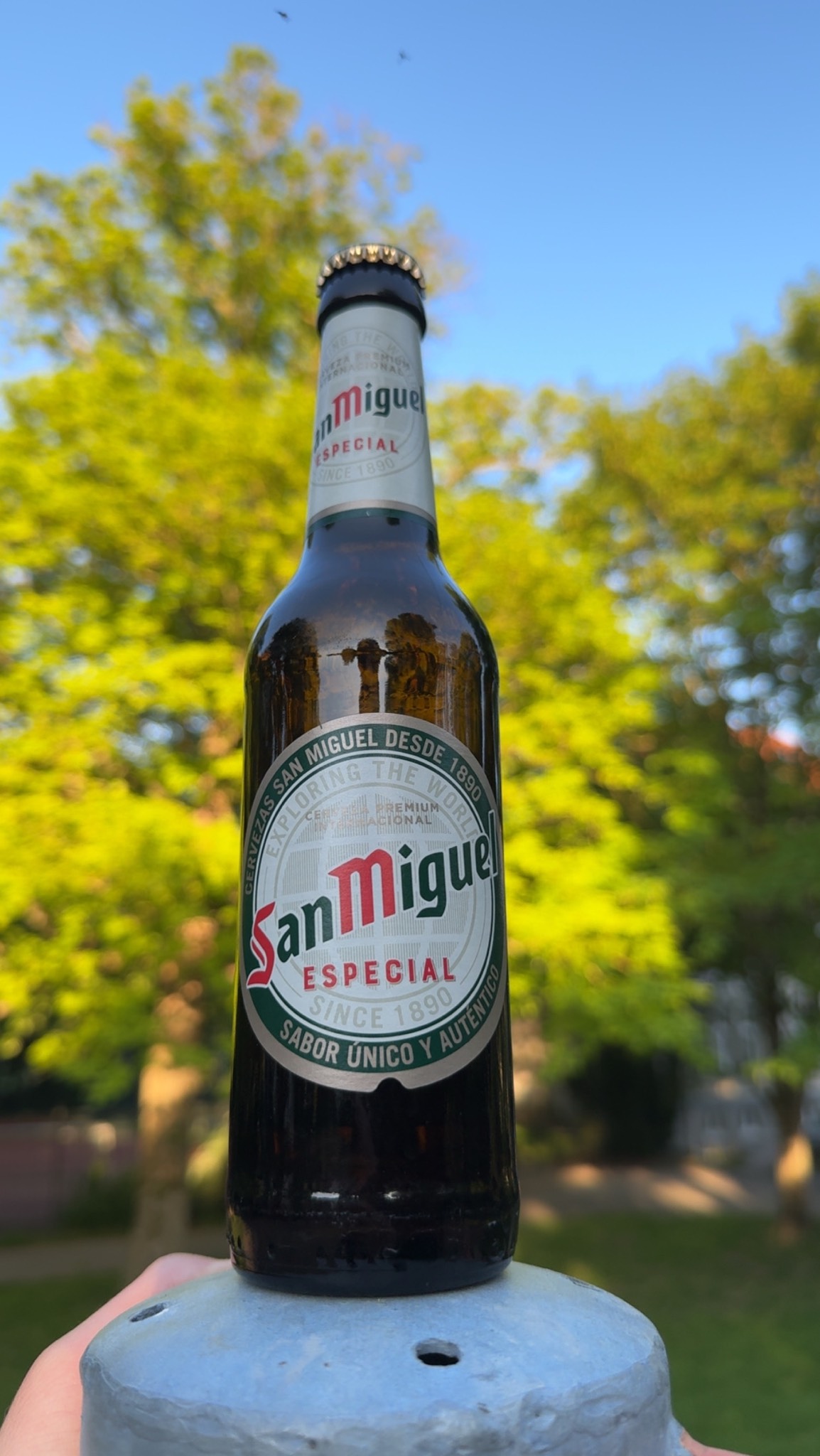 San Miguel Tradición, Spain