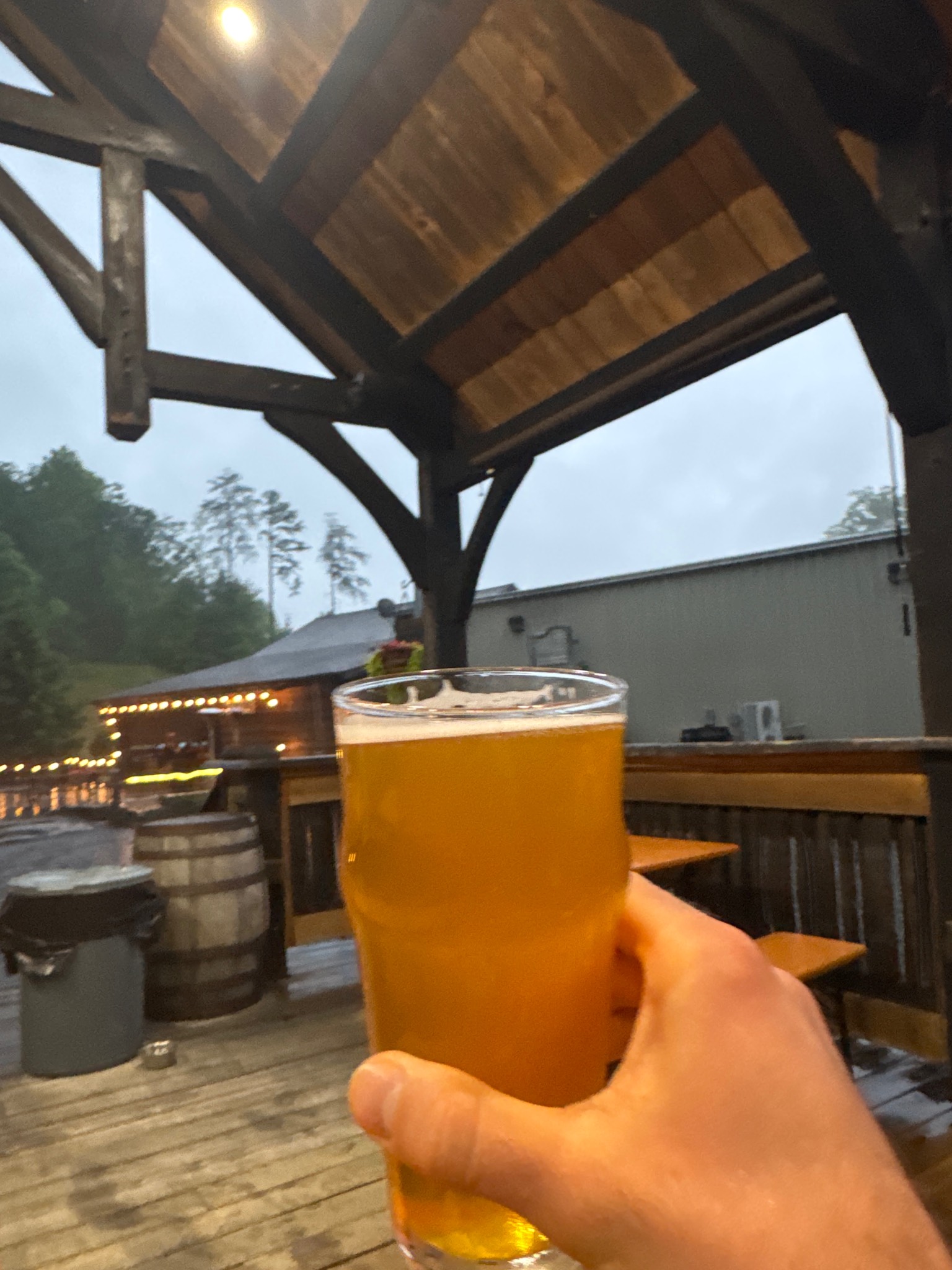 New River IPA, Bridge Brew Works