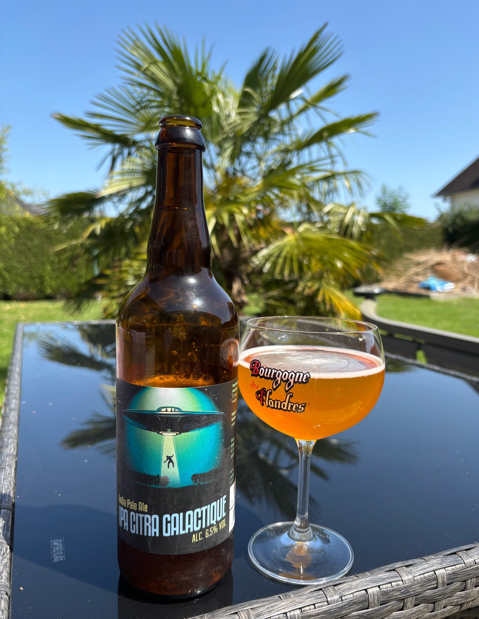 IPA Citra Galactique, France