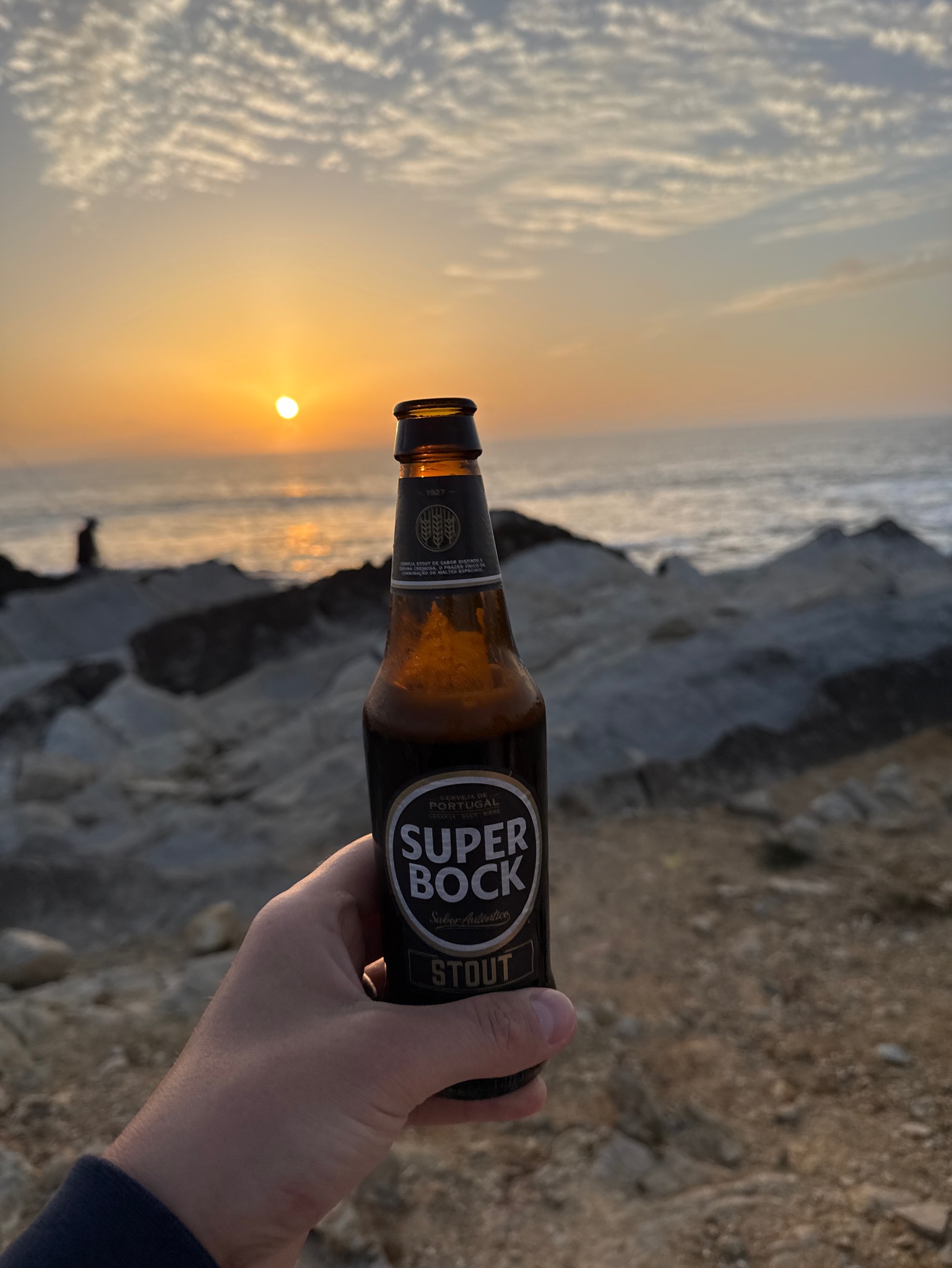 Super Bock Stout, Super Bock Group