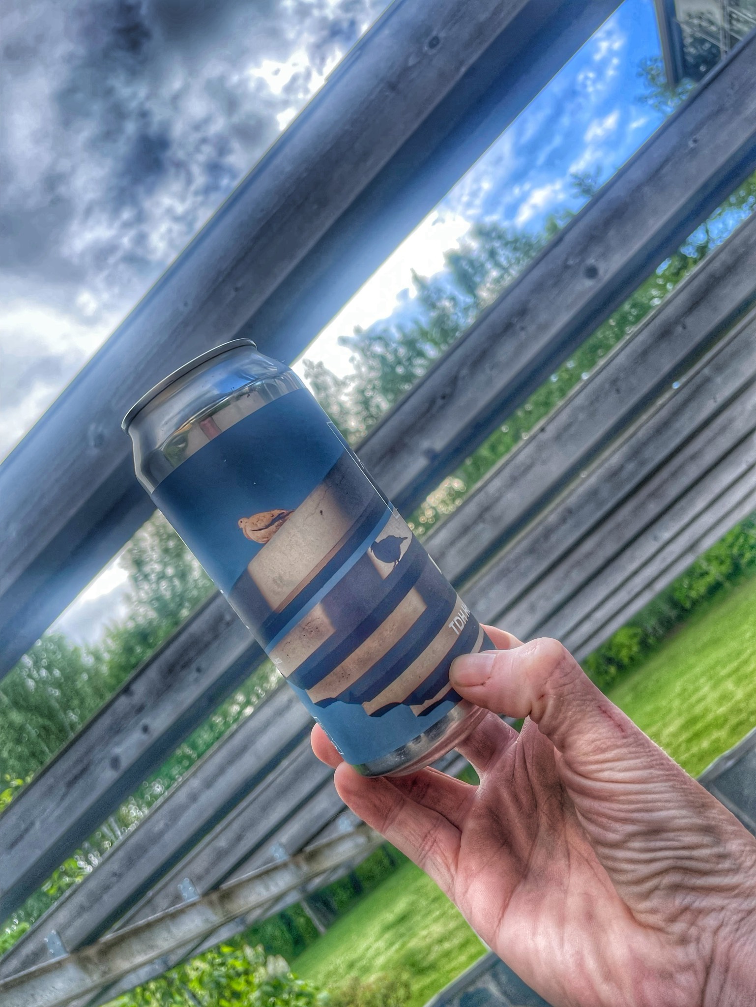 TDH Hops x Art #23 IPA, Latvia