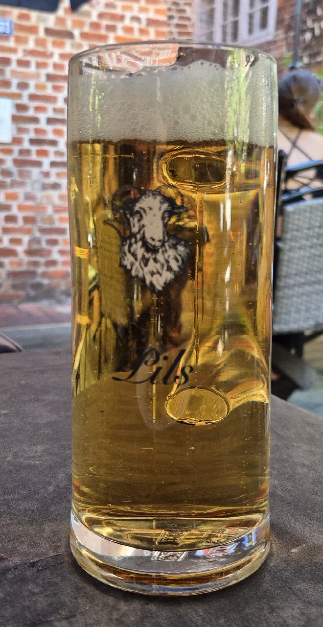 Heide Pils, Domkellerei Bardowick