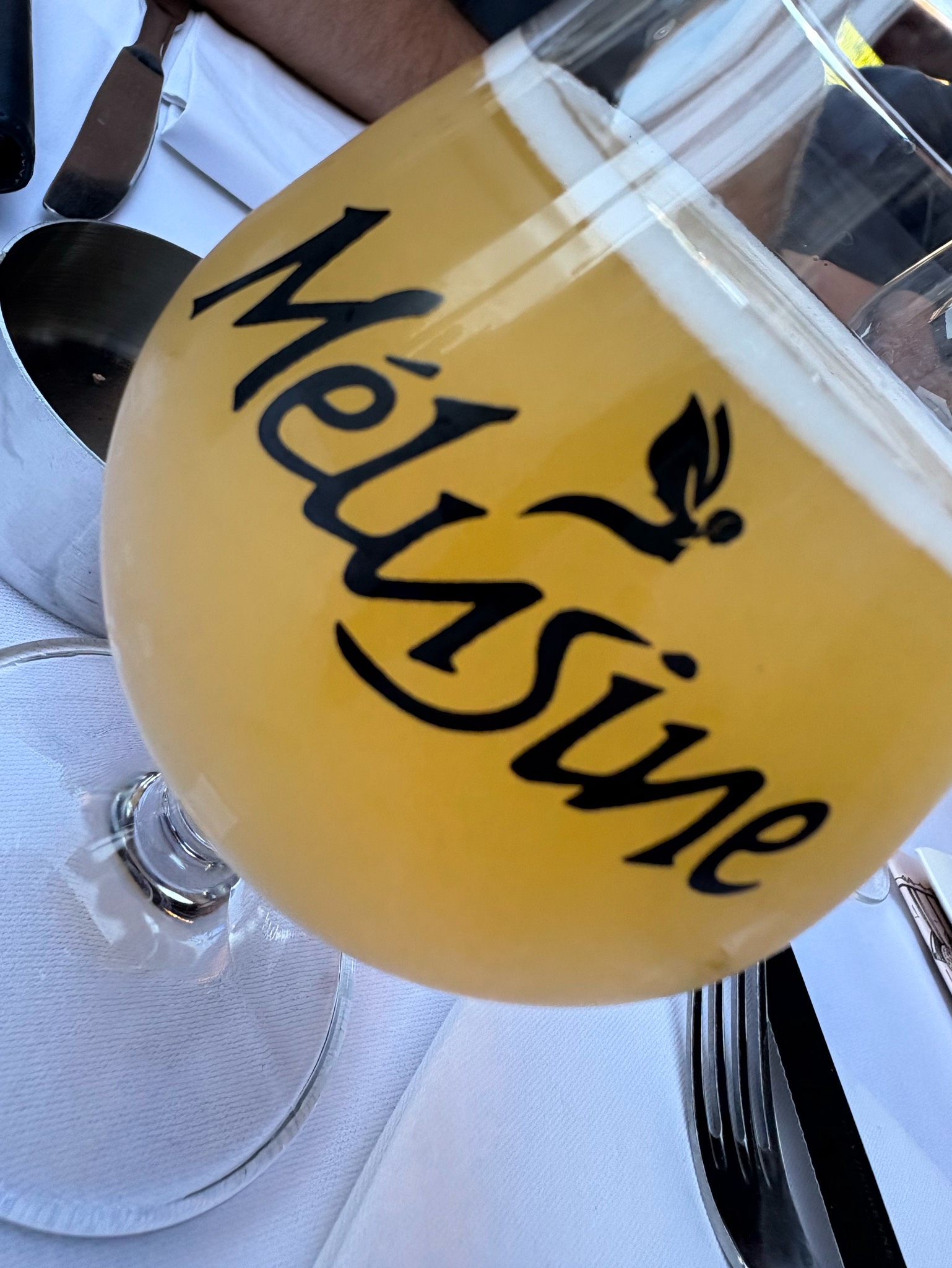 Melusine ipa bio, France