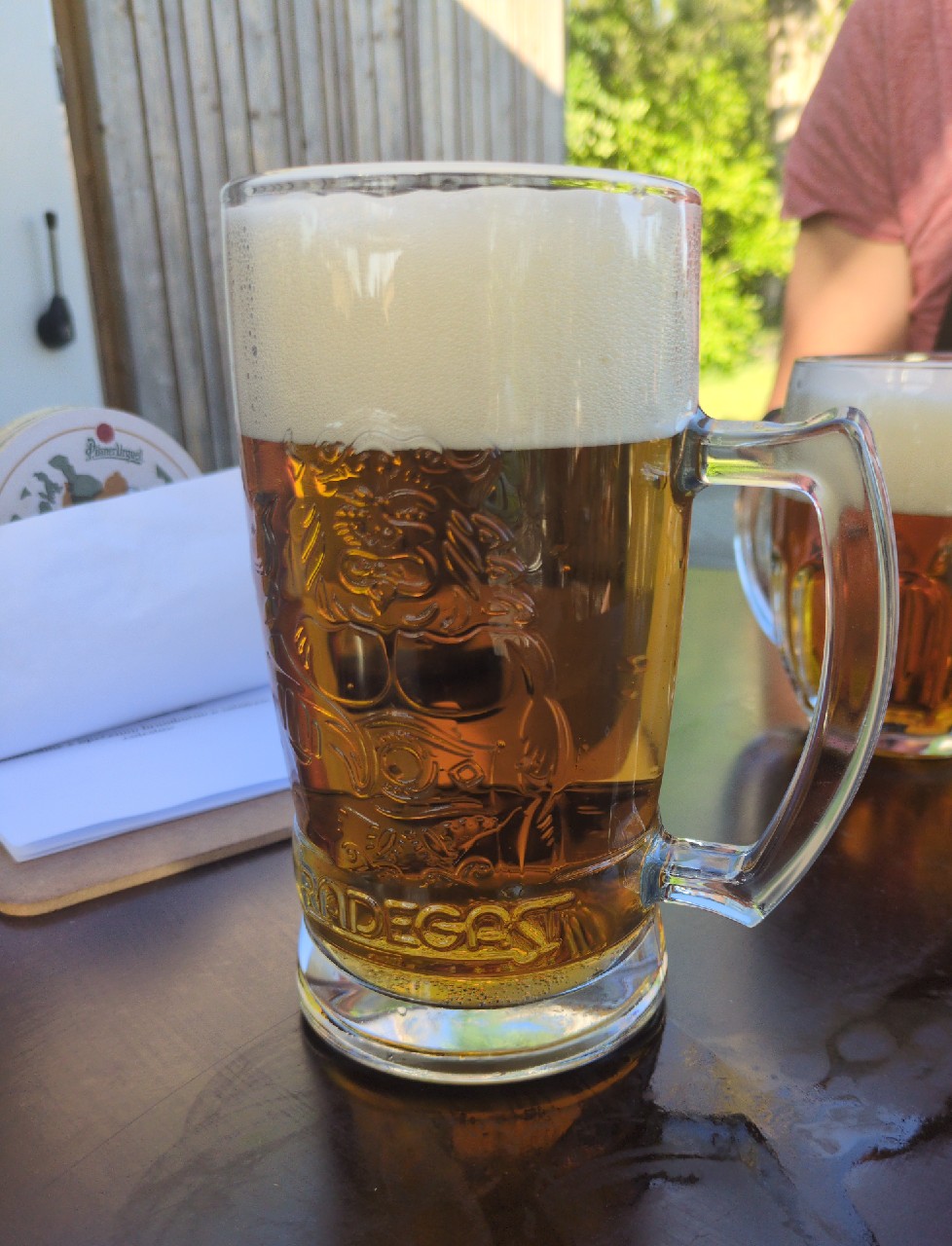 Radegast Rázná 10, Radegast (Asahi Breweries)