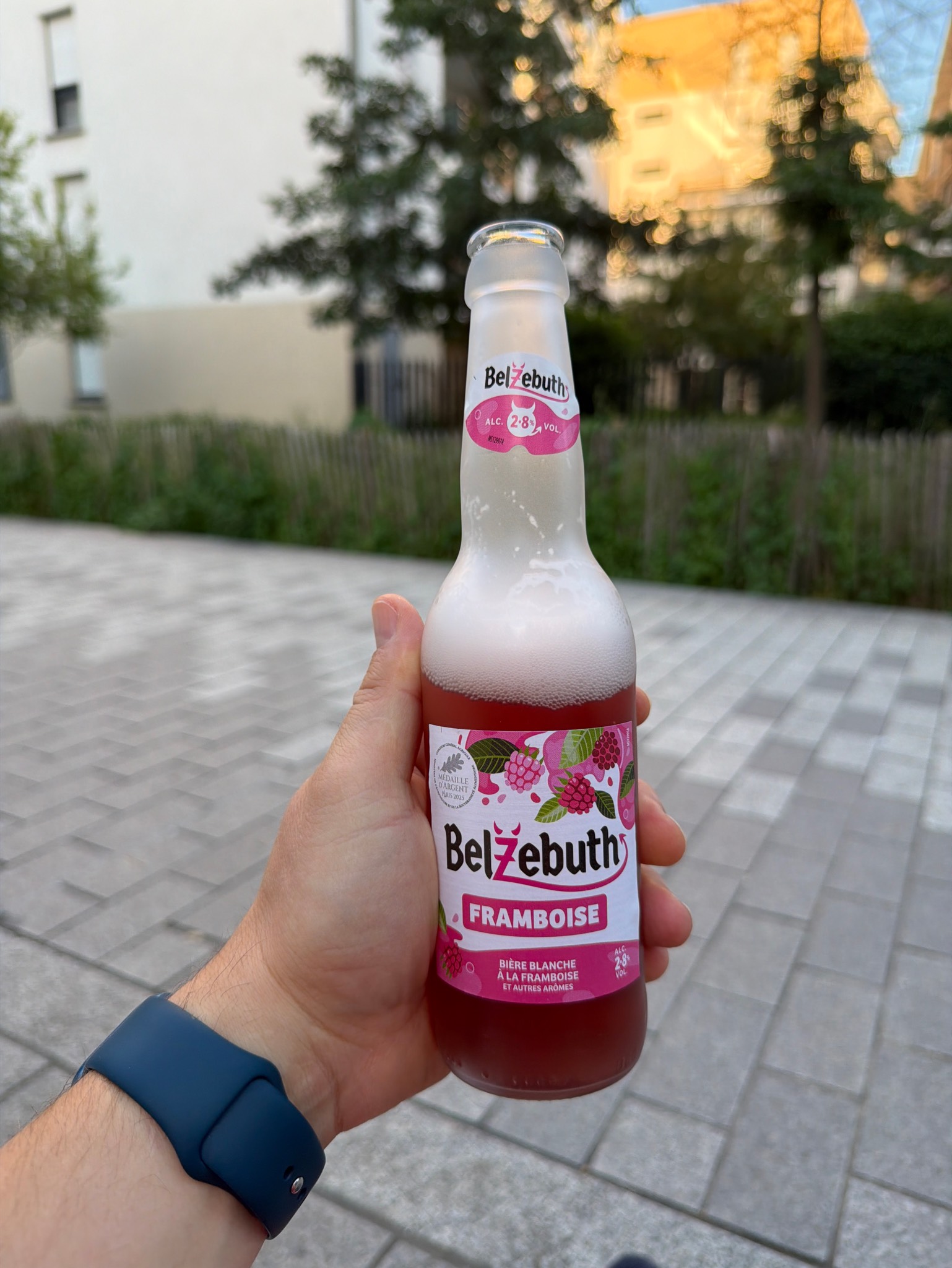 Belzébuth Pink, France