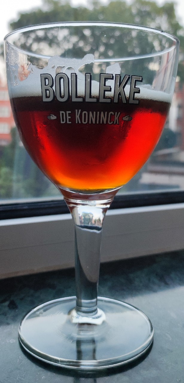 Bolleke De Koninck (APA), Belgium