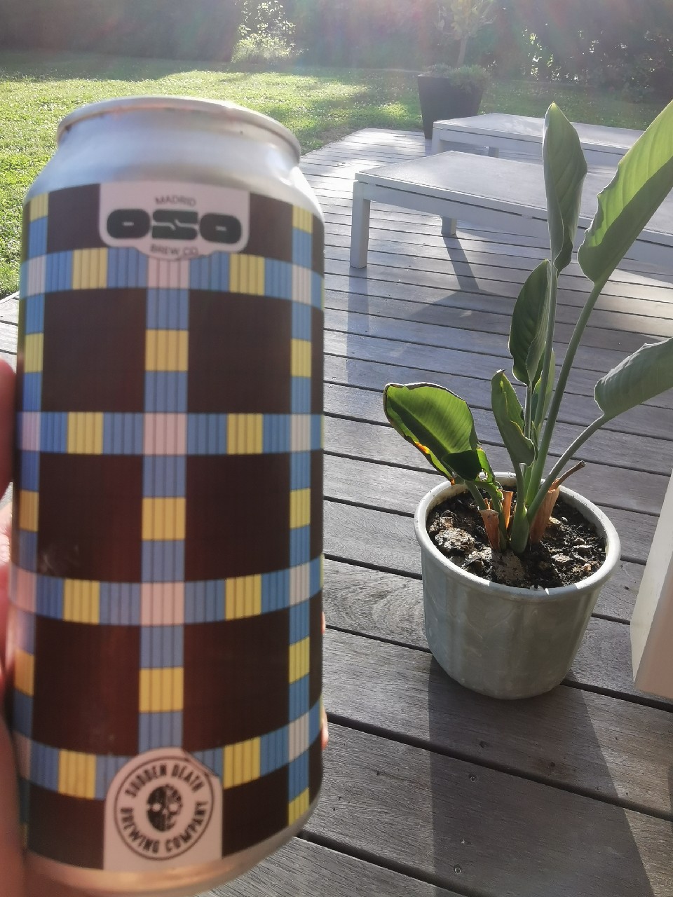 two's company, Oso Brew Co.
