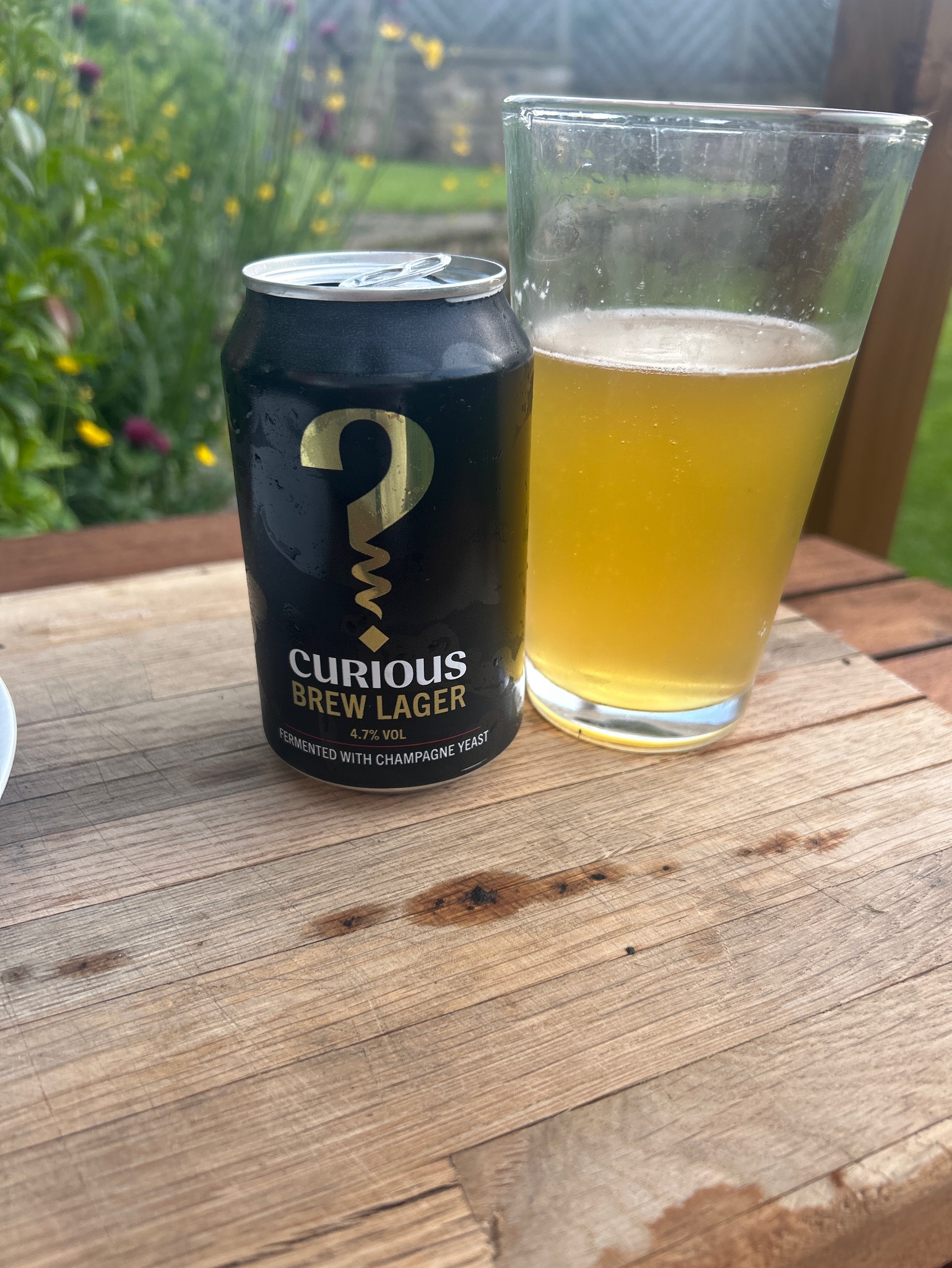 Curious Brew Lager, Curious Brewery
