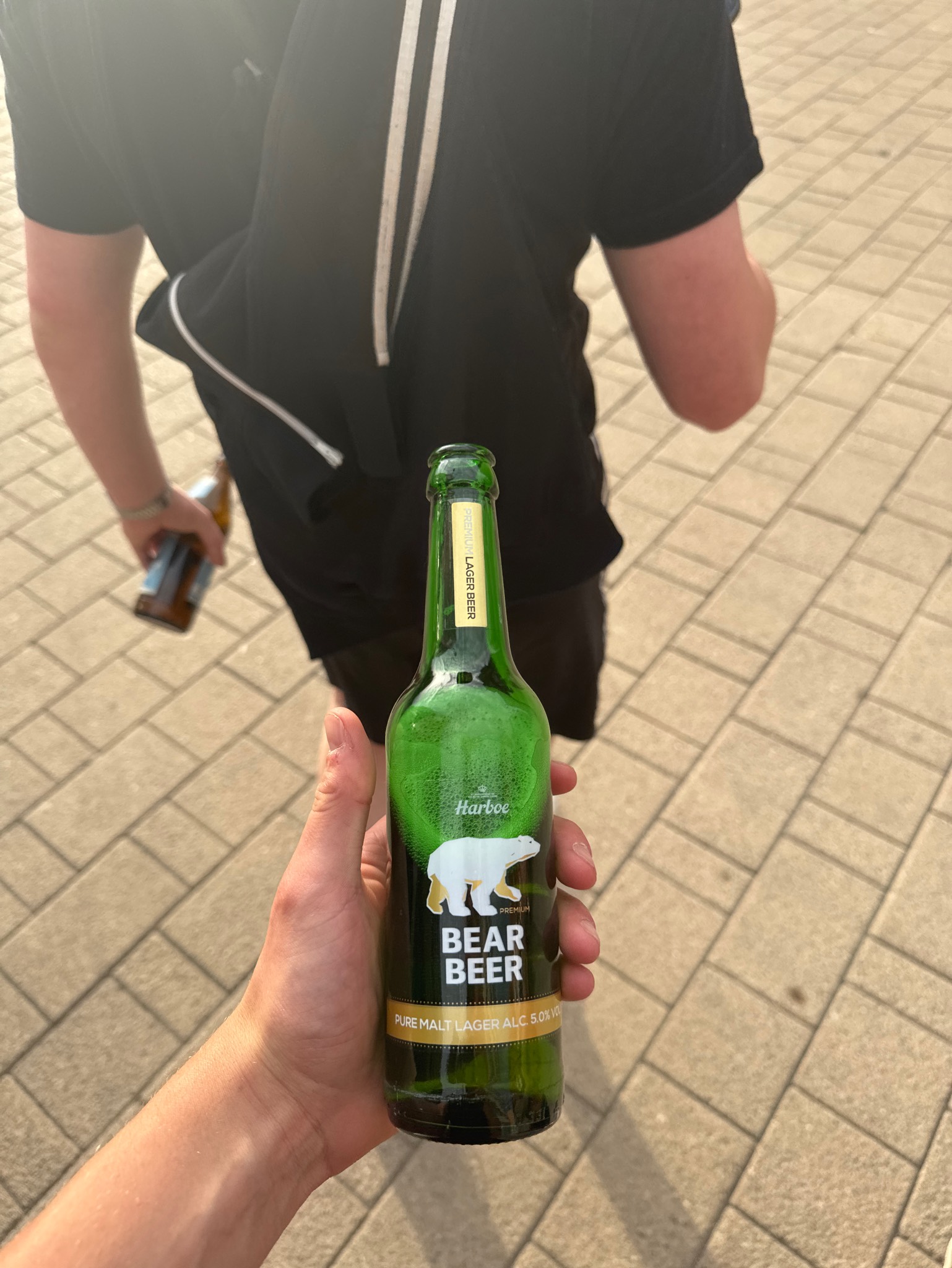 Bear Beer 5,0 %, Harboe's Brewery A / S