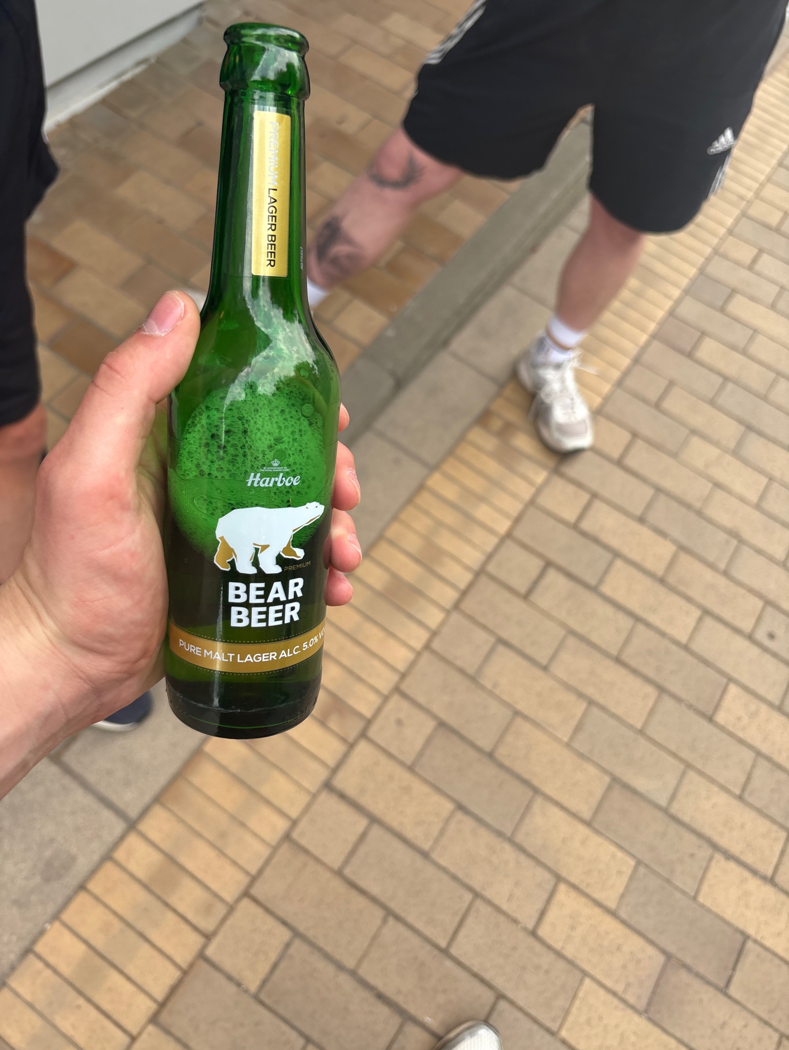 Bear Beer 5,0 %, Harboe's Brewery A / S