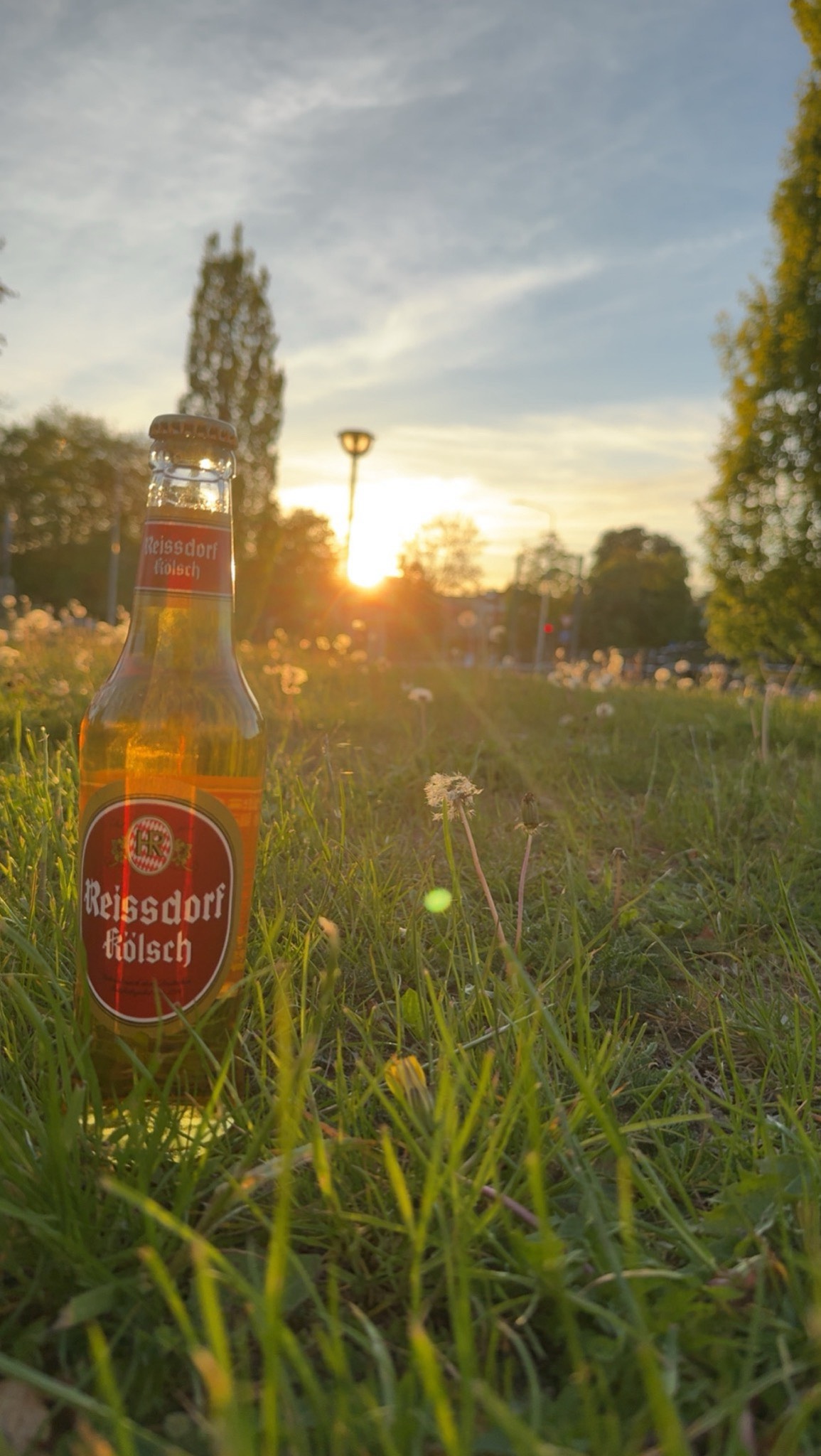 Reissdorf Kölsch, Privat-Brauerei Heinrich Reissdorf
