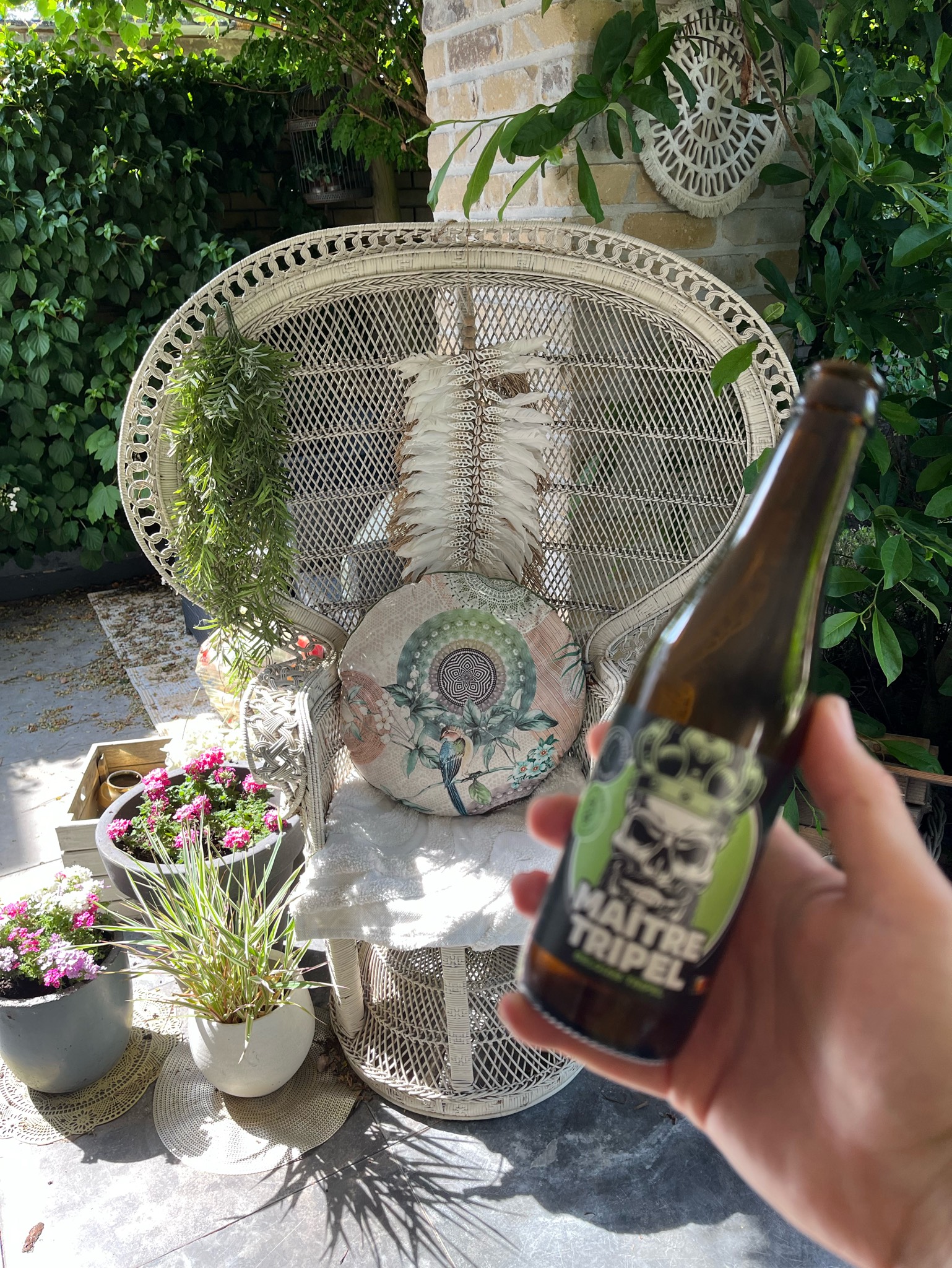Maître Tripel, Brewery De Meester