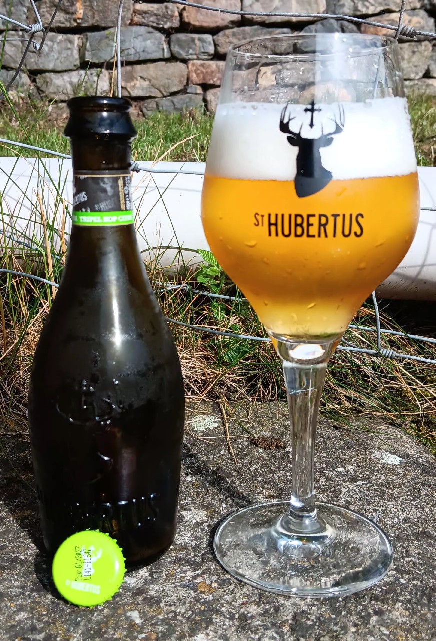 Triple Hop Citra, St. Hubertus (Carlsberg Group)