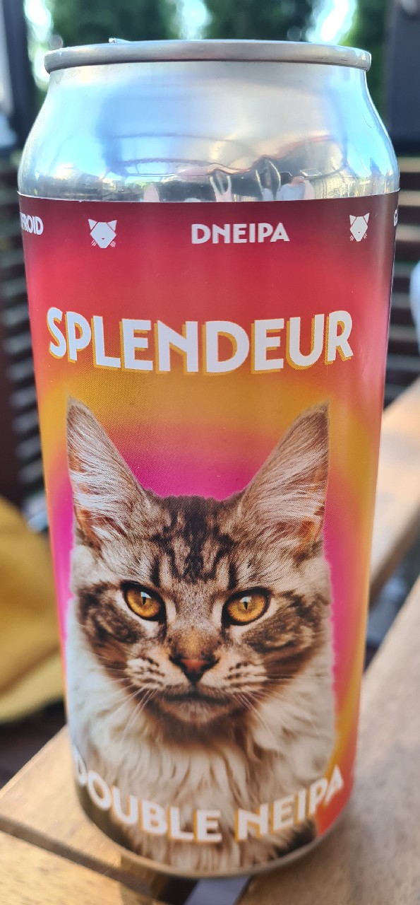 splendeur, Noctem Artisans Brasseurs