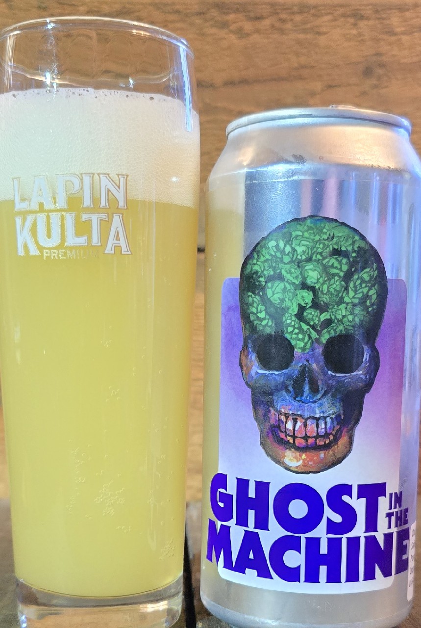 Ghost in the Machine (Freaky Friday), Sweden