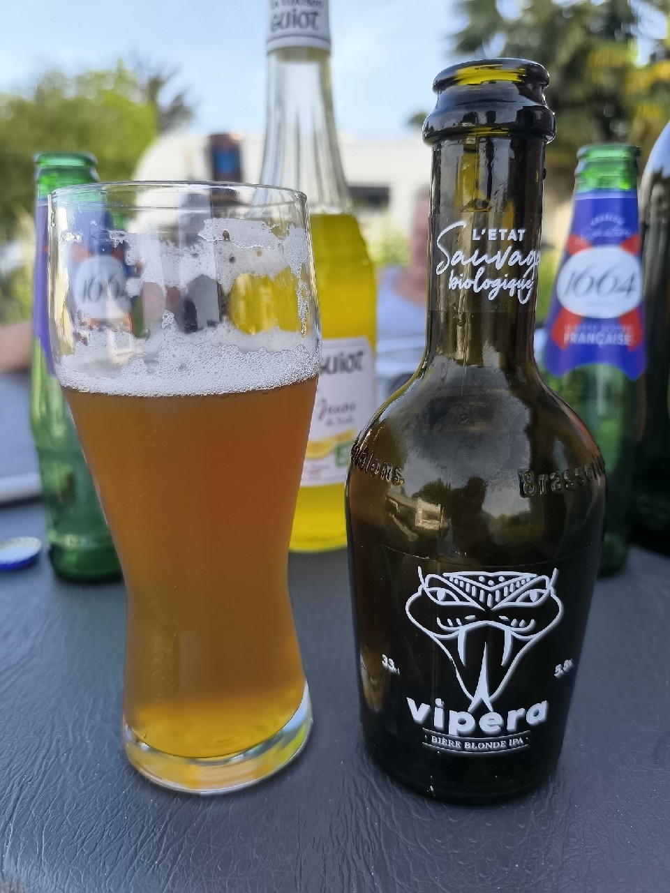 Vipera, France