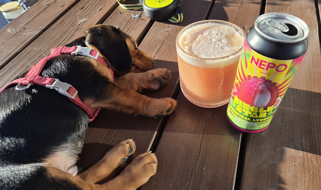 single star: tropical lychee, Nepo Brewing (Browar Nepomucen)