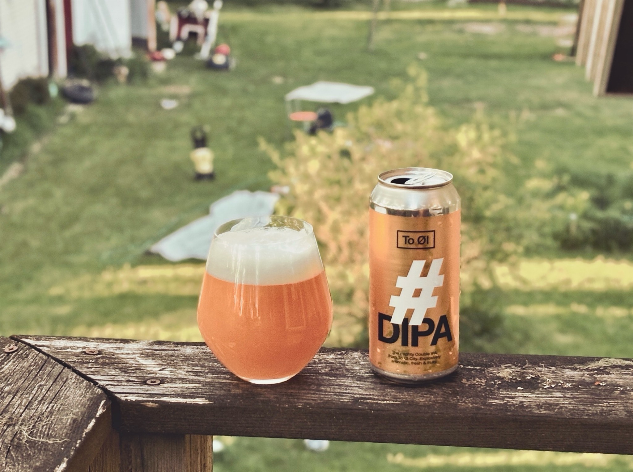 #DIPA, Denmark