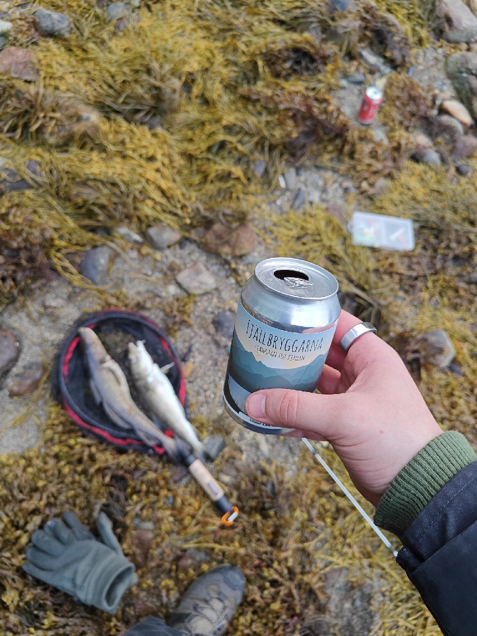 Fjällbryggarna, Fjällbryggarna