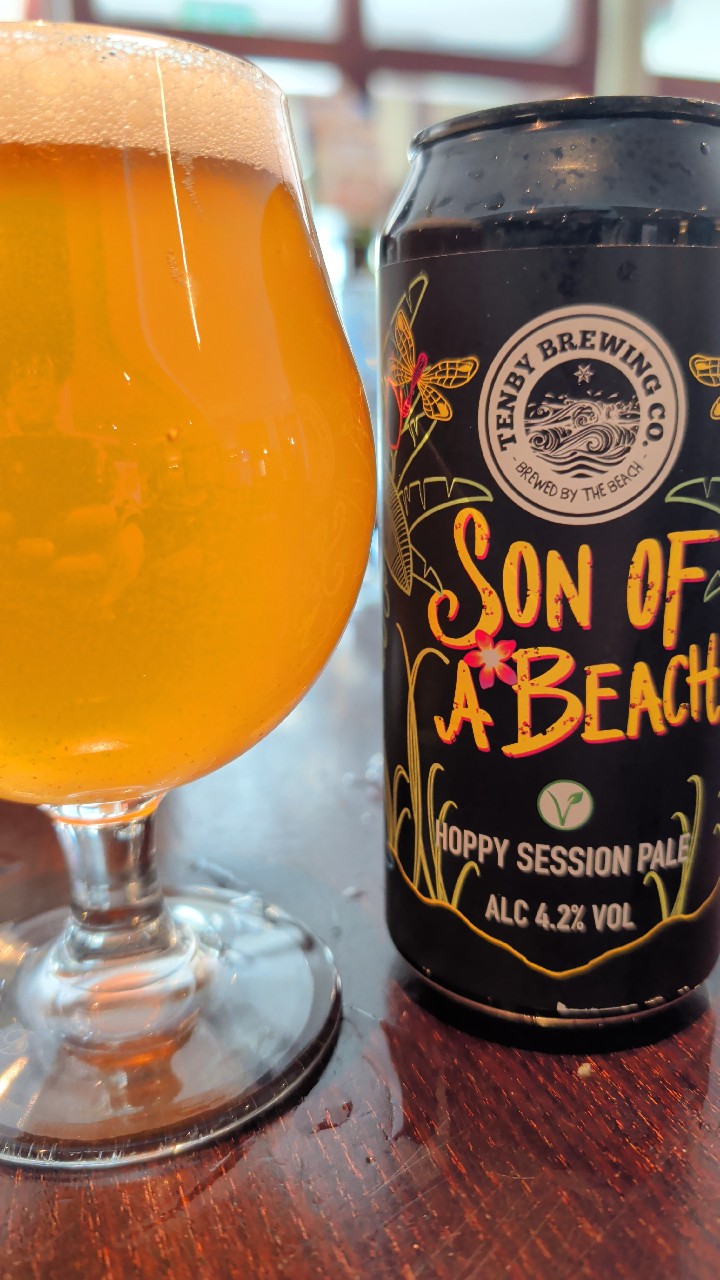Son of A Beach, Tenby Brewing Co.