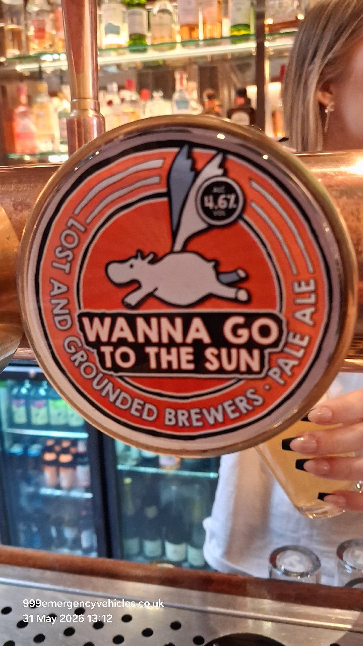Wanna Go To The Sun, Lost and Grounded Brewers