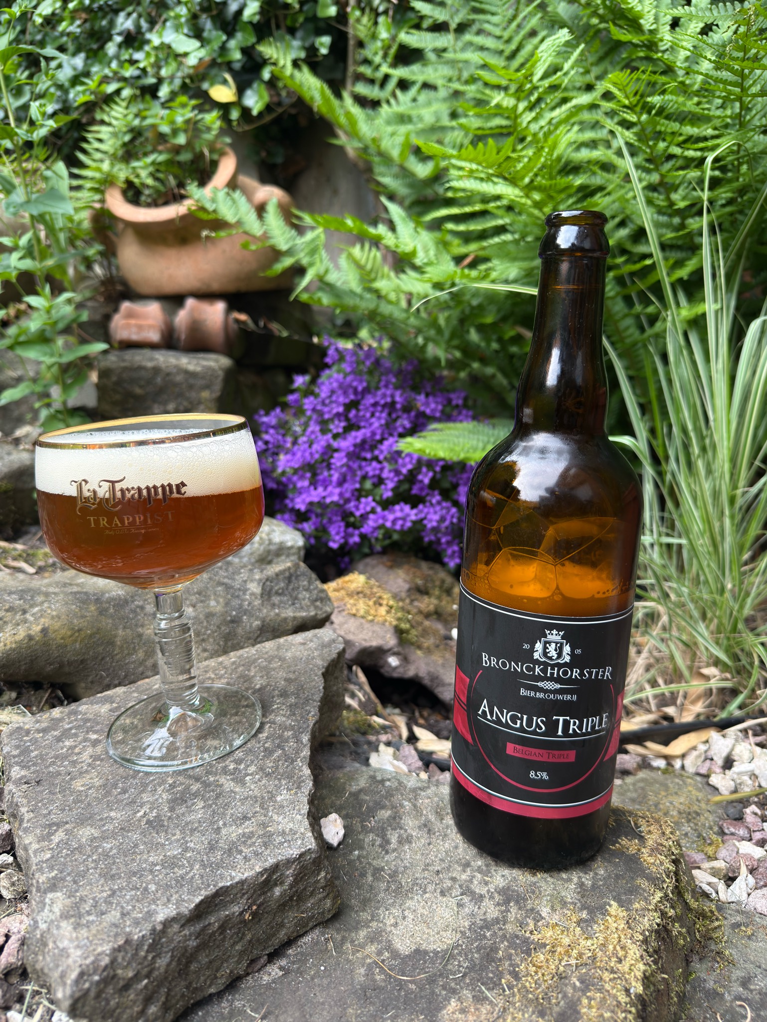 Angus Triple, Bronckhorster Brewing Company