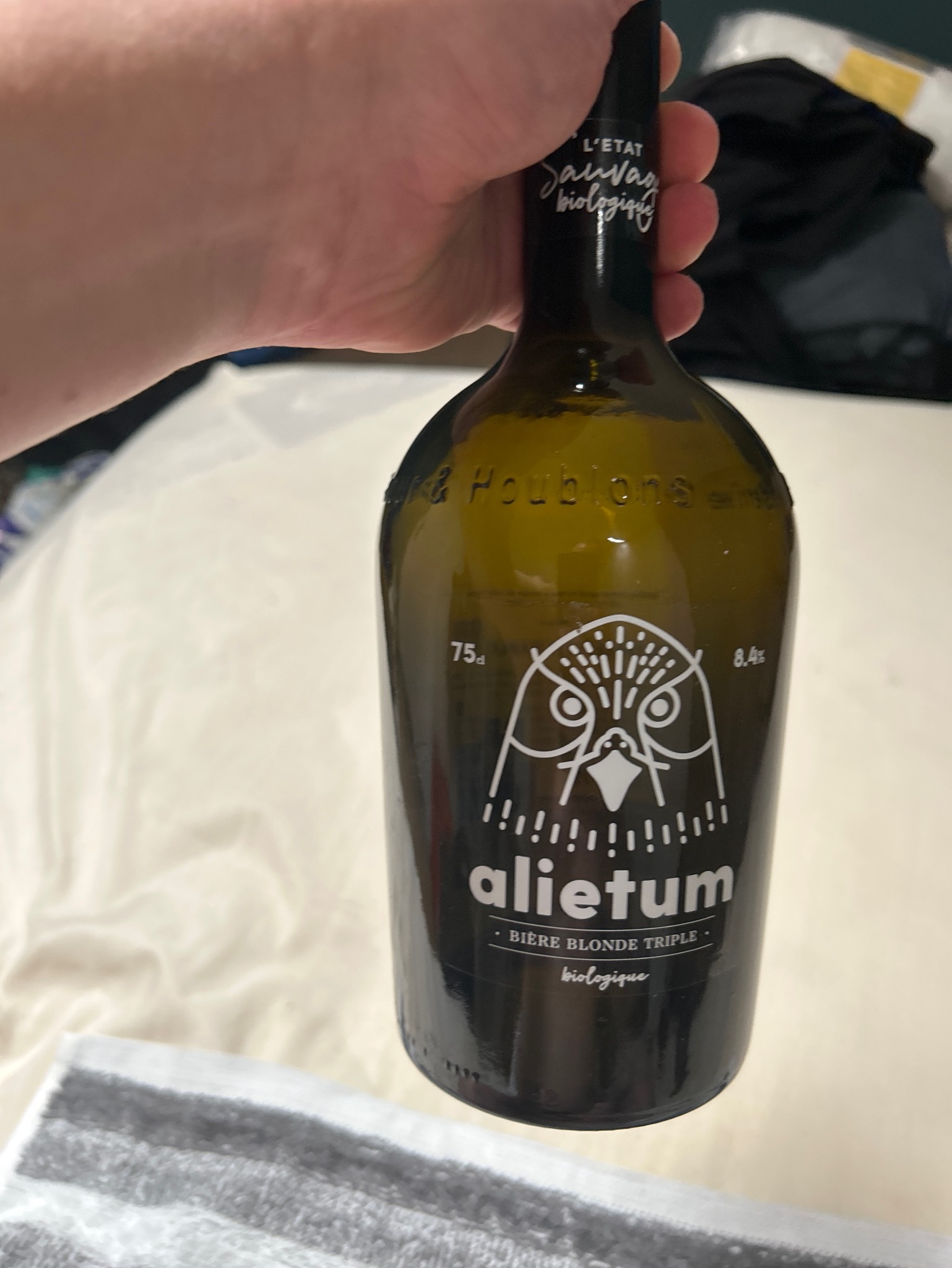 Alietum, France