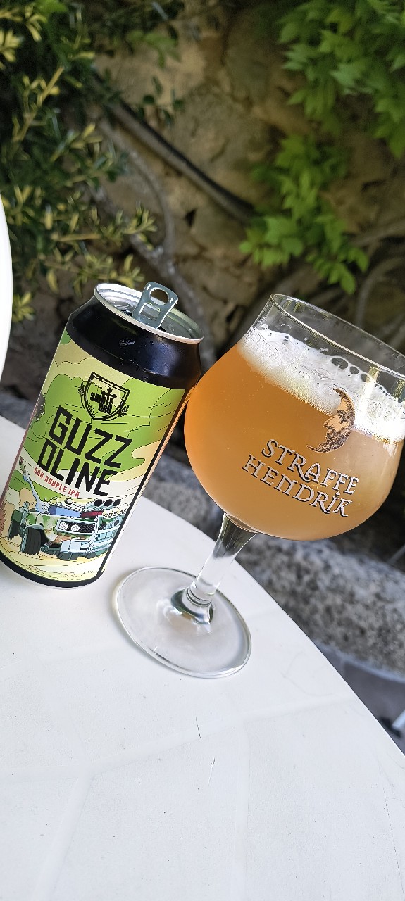 Guzzoline, France