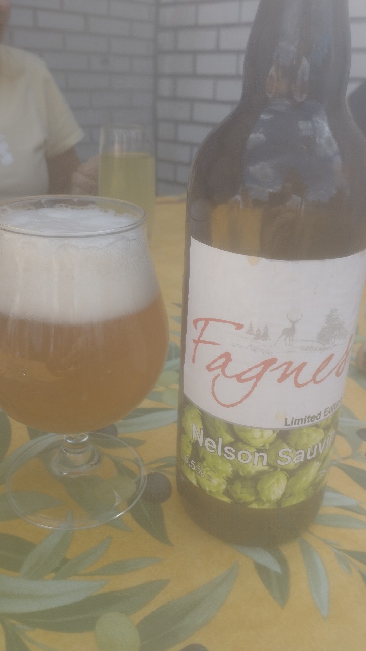 fagnes nelson sauvin, Brasserie des Fagnes