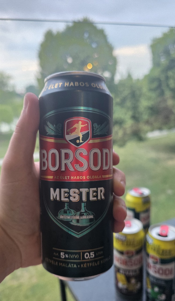 Borsodi Mester, Borsodi Sörgyár Kft