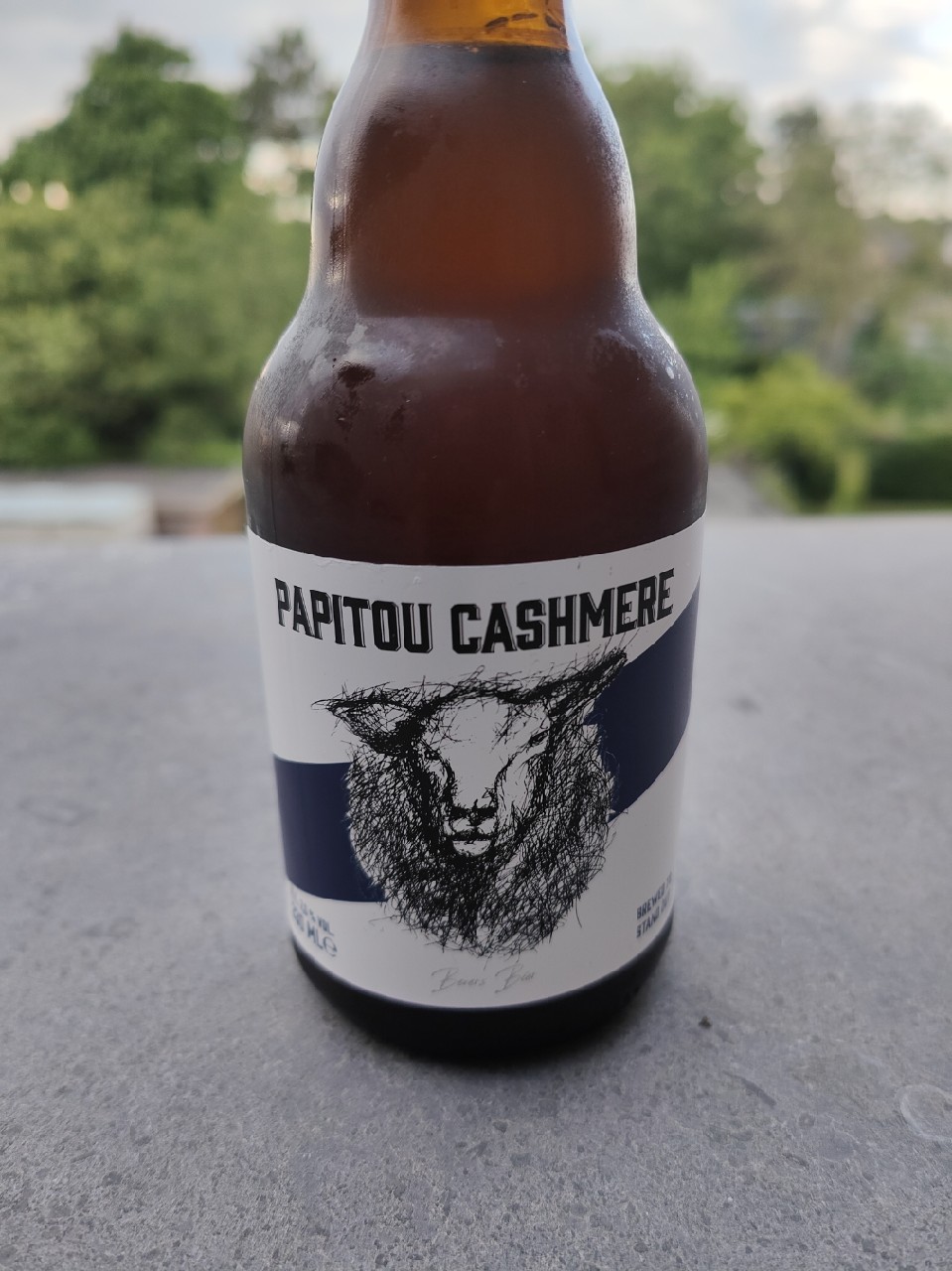 Papitou Cashmere, BierfirmaMV"0